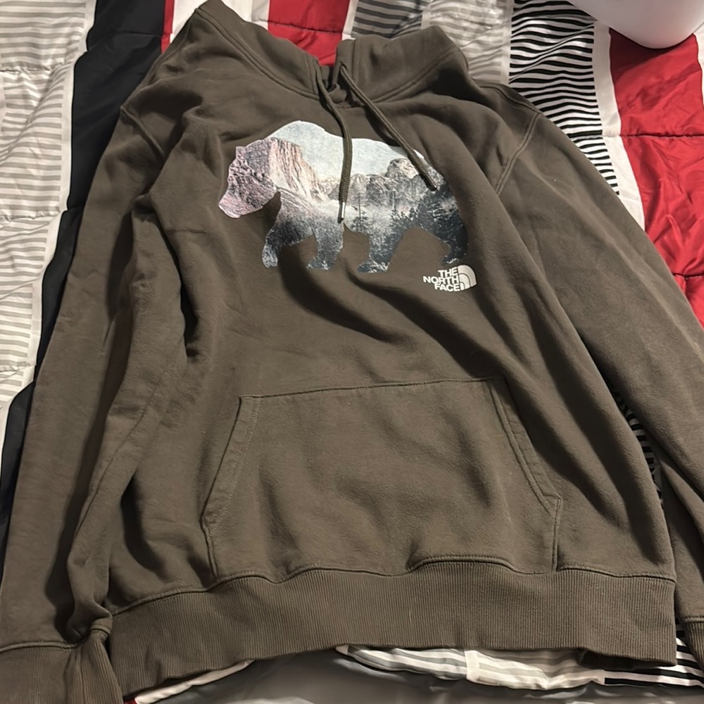 The North Face Brown Sweatshirt Hoodie